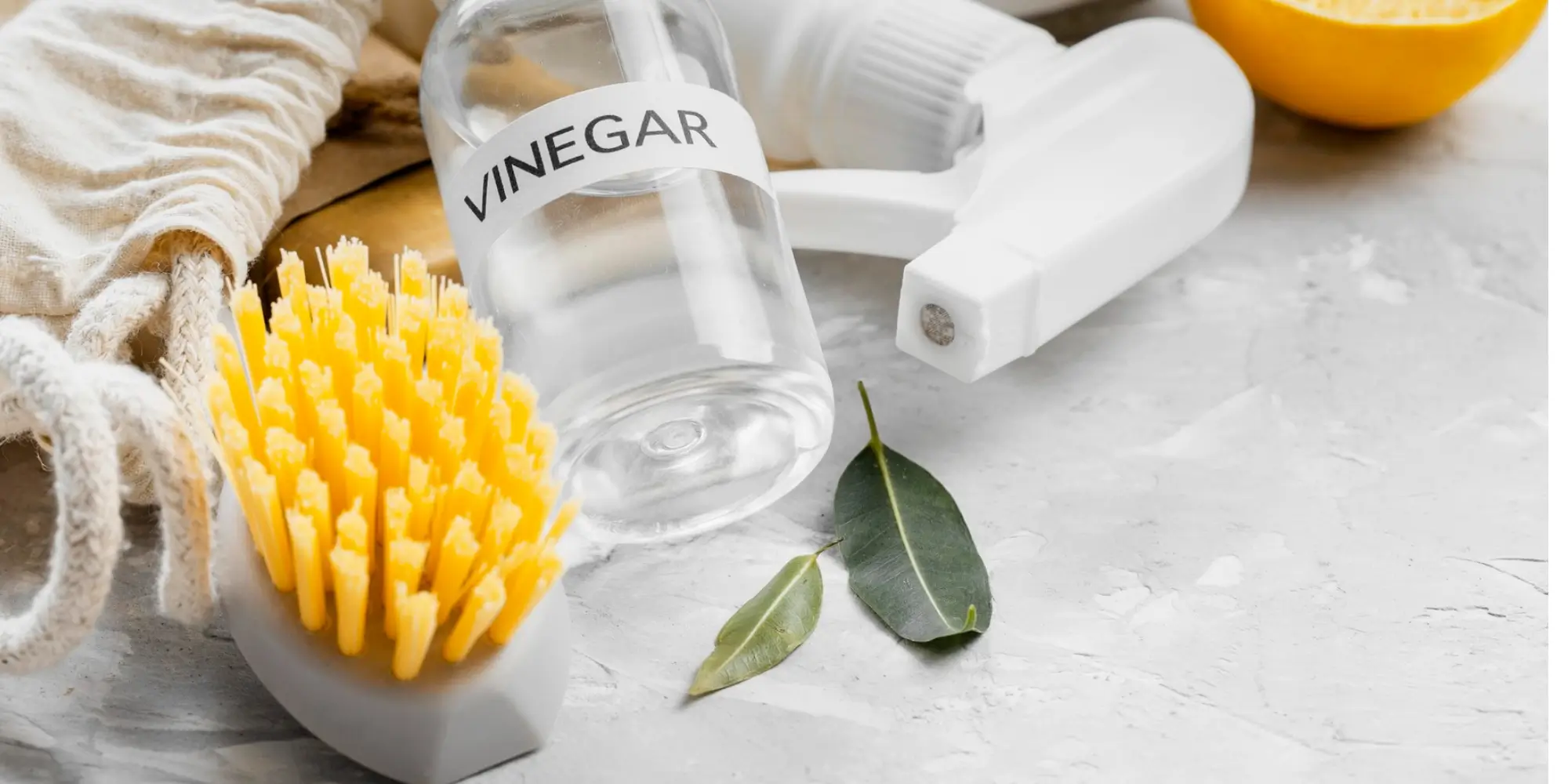Does-Vinegar-Disinfect-Here's-What-Science-Says
