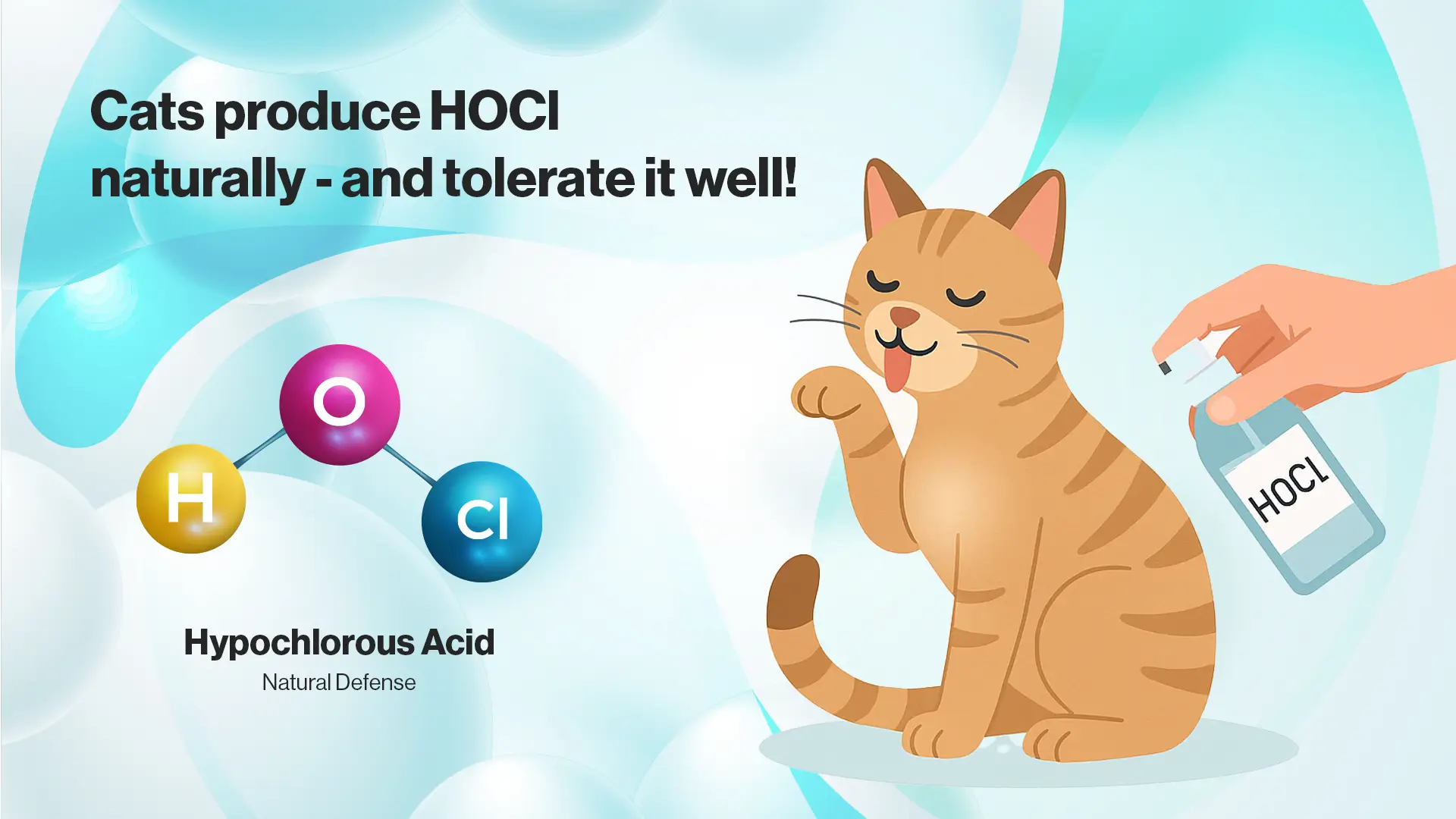 Is Hypochlorous Acid Safe for Cats A Complete Guide for Cat Owners
