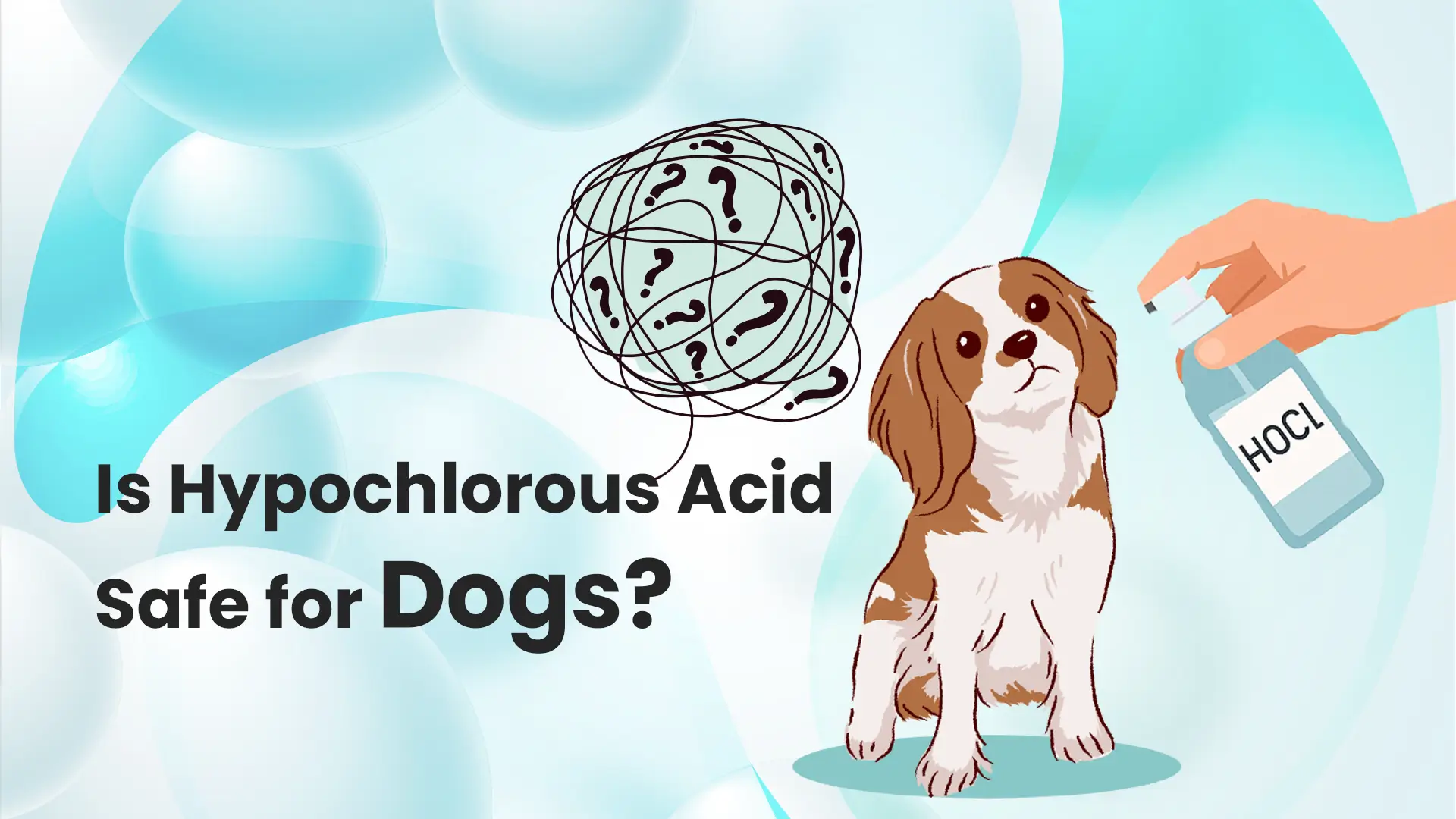 Is Hypochlorous Acid Safe for Dogs TheComplete Guide to HOCl for Canine Care