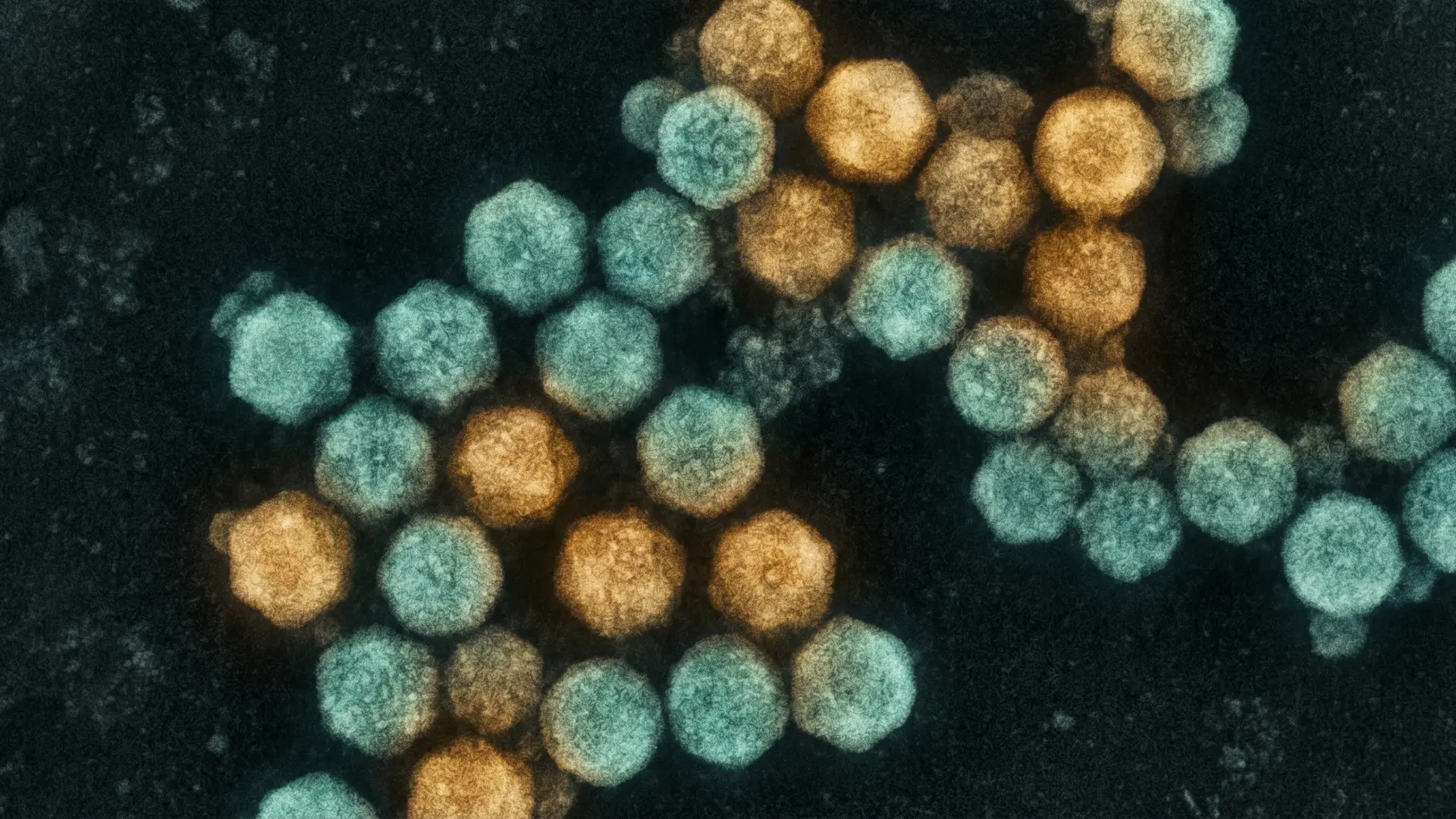 How Long Does Norovirus Last