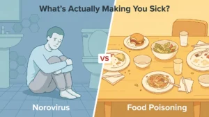 Norovirus vs Food Poisoning
