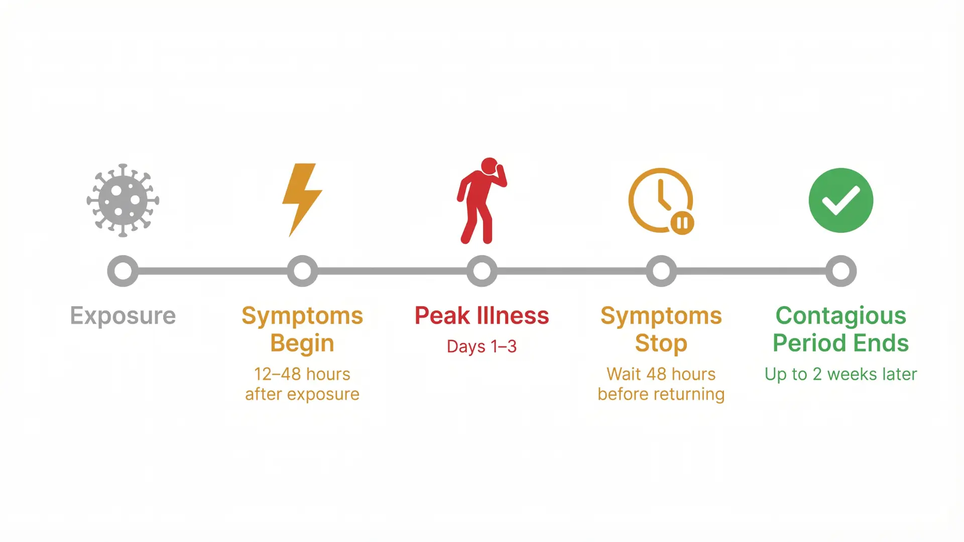 Norovirus Symptoms Timeline