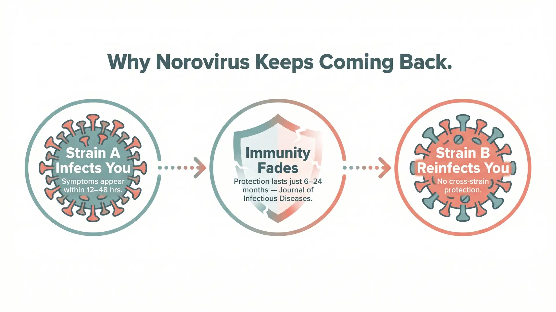 Why Can You Get Norovirus More Than Once